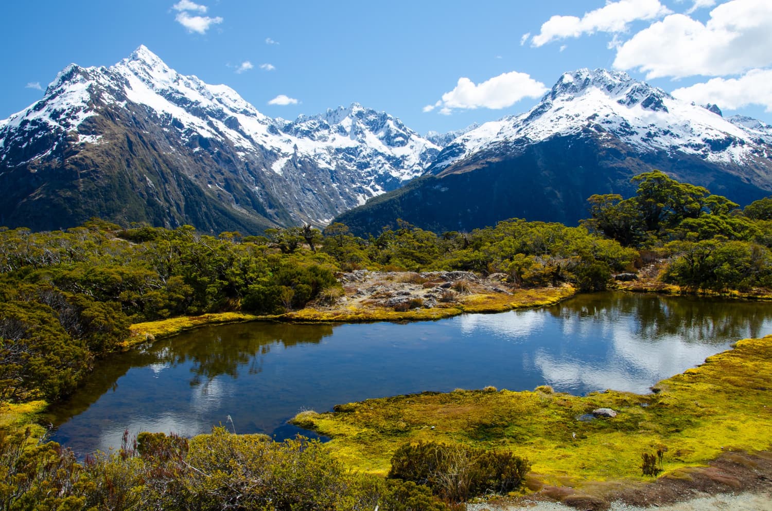 Australia o Nueva Zelanda